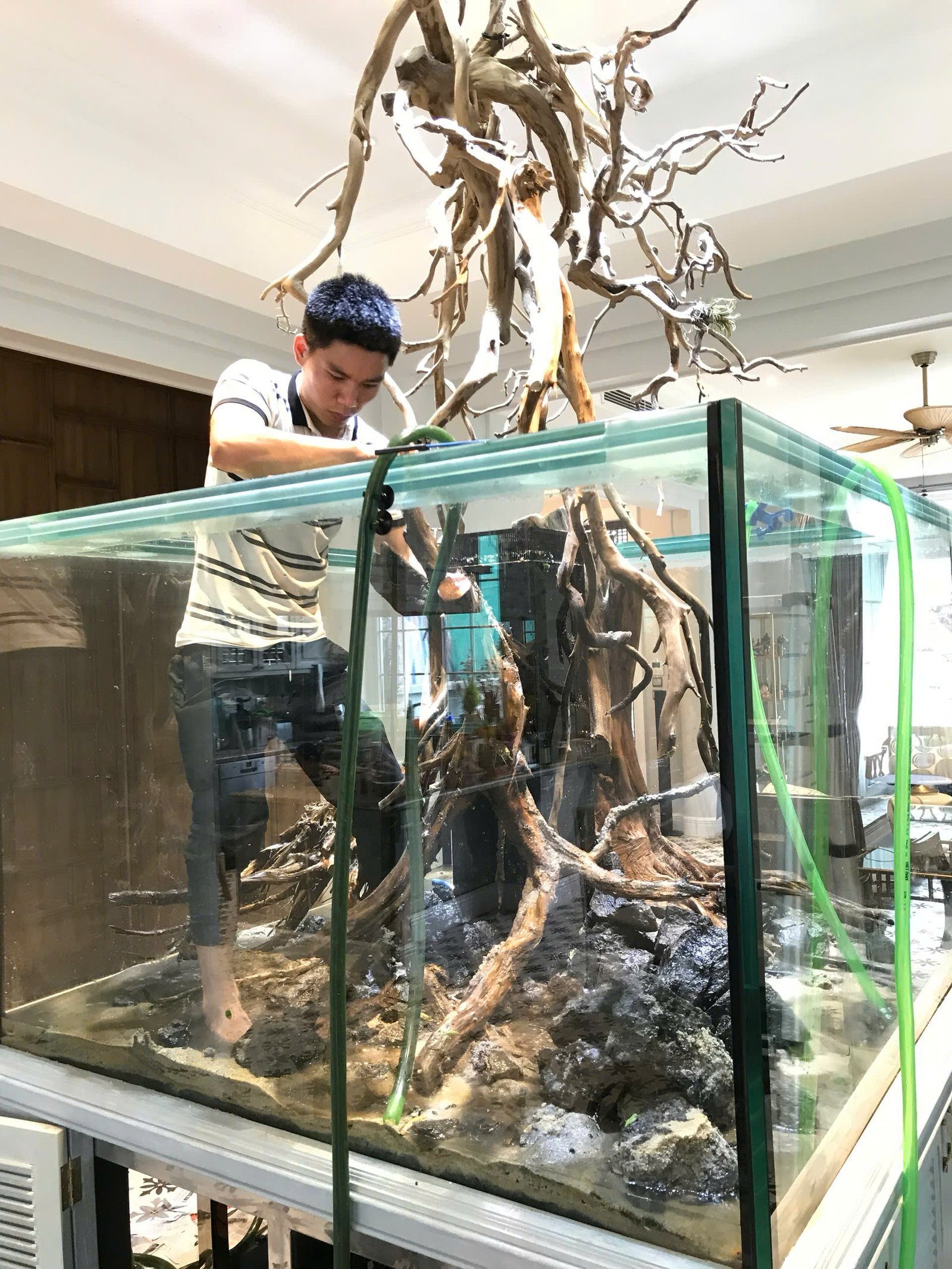 Bể cá thủy sinh 35