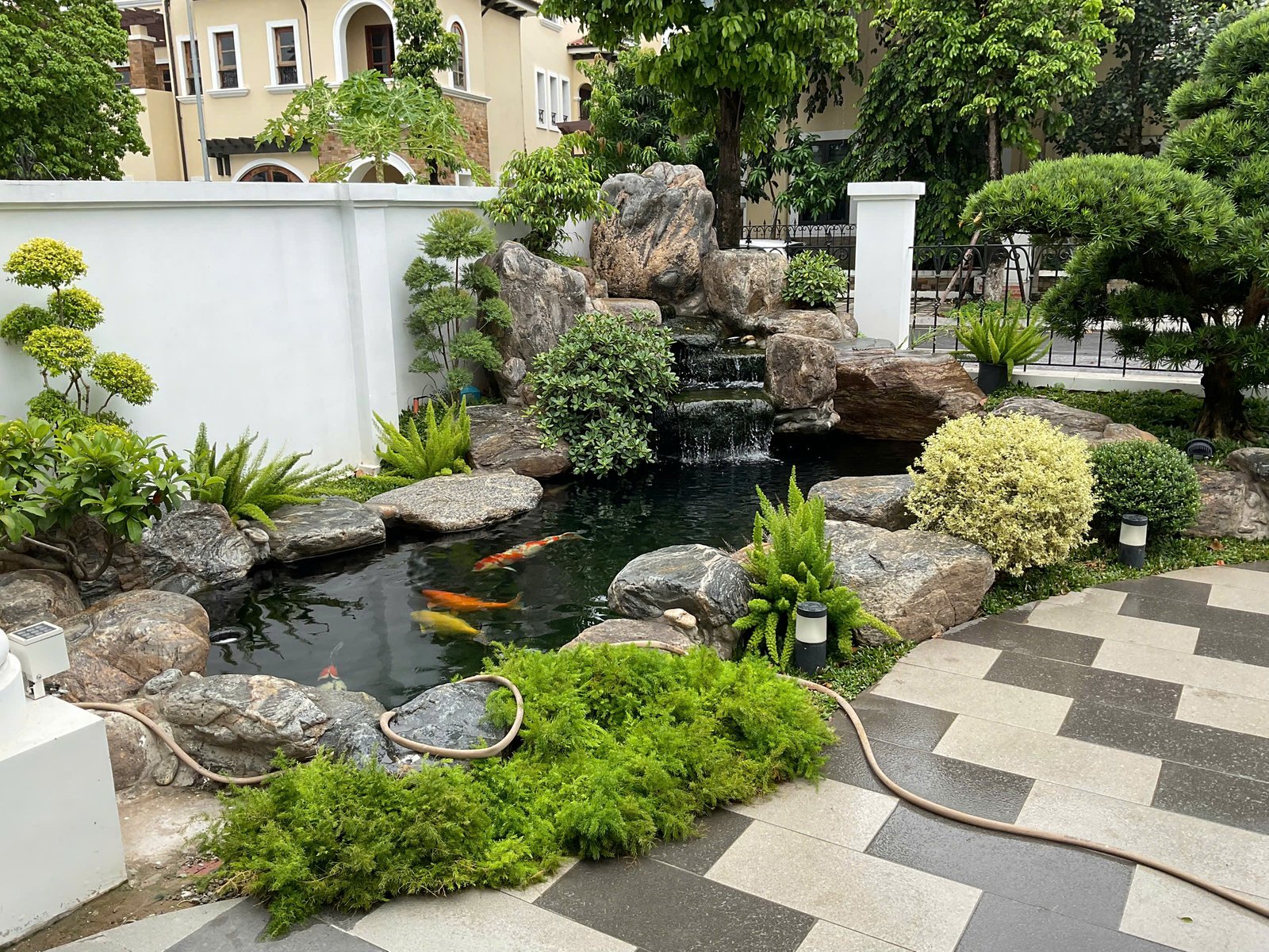 Hồ Koi & đèn đá — thực tế