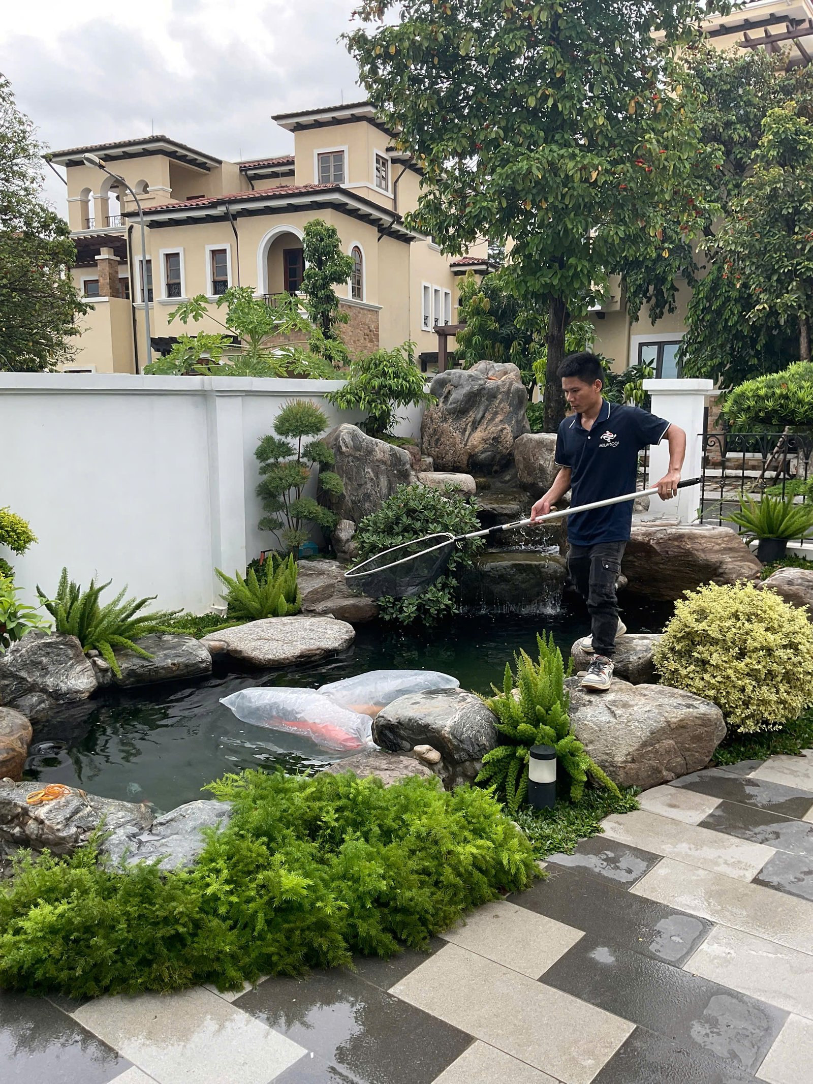 Bể Koi 5