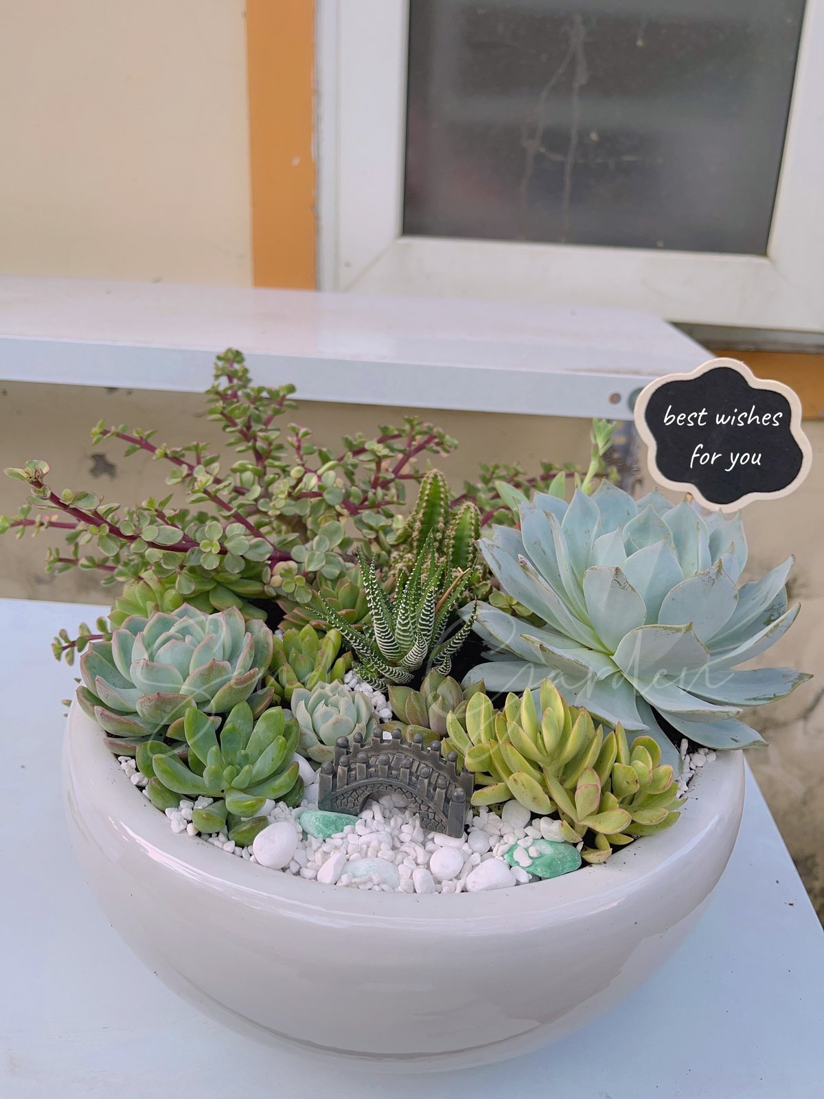 Bộ tiểu cảnh hoàn chỉnh (30cm)