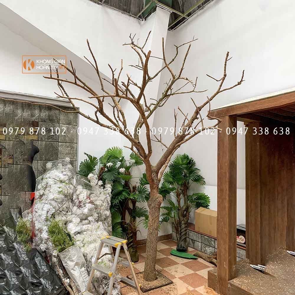 Cây khô trang trí vừa