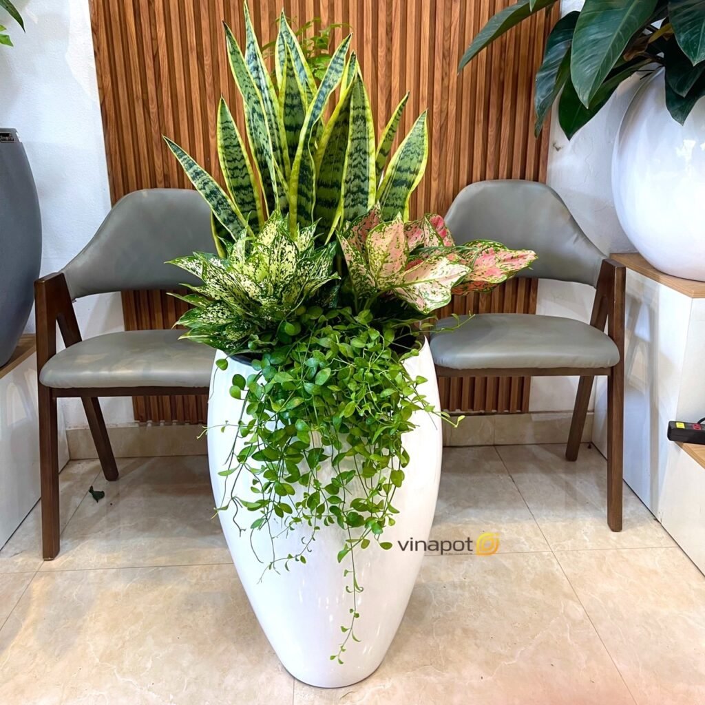 Chậu resin cao cấp (25cm)