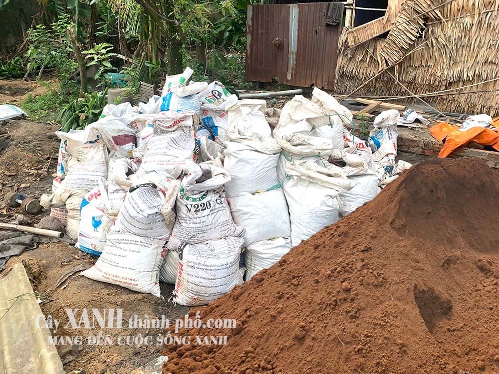 Đất trồng Xanh (bao 50kg)