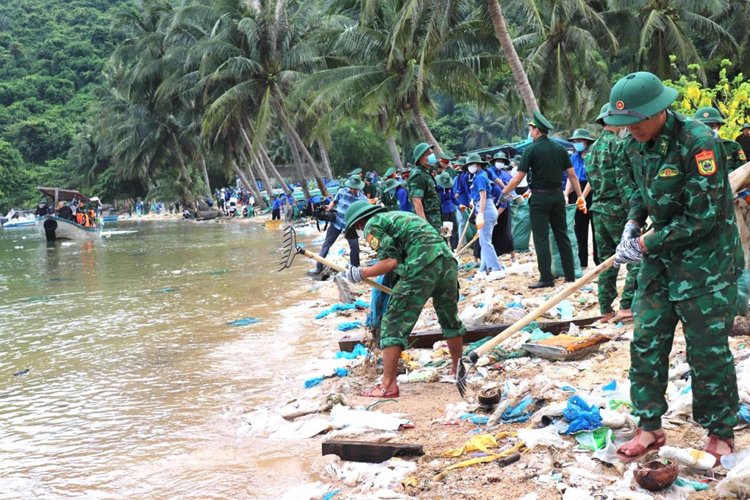 Hướng dẫn Điều trị bệnh Cá Koi (Hệ AquaKoi)