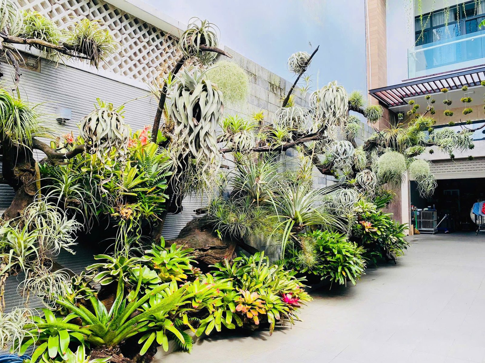 Tiểu cảnh trước nhà — thực tế