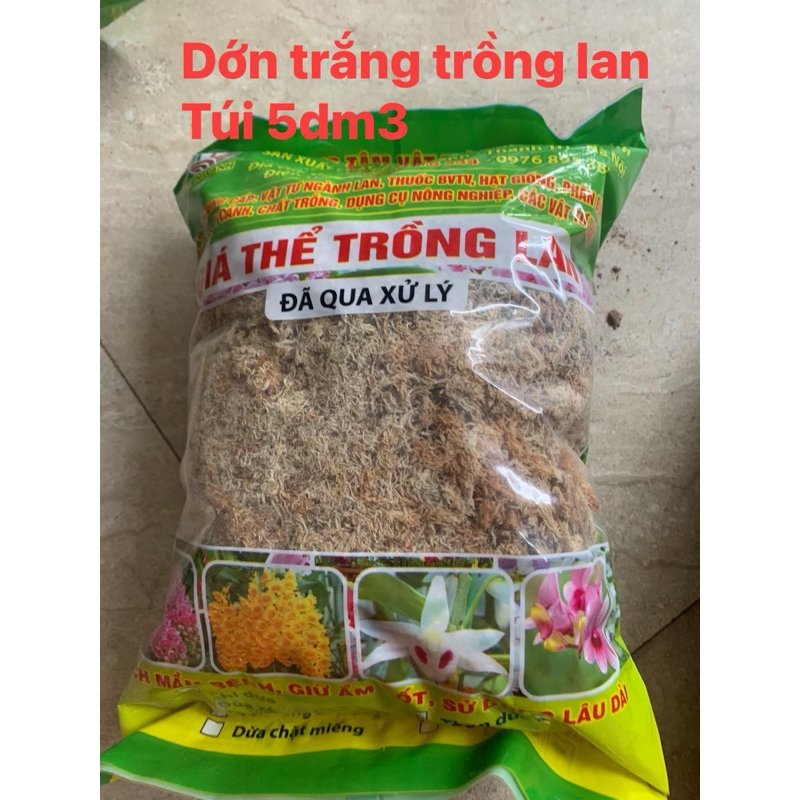 Rêu Sphagnum - Giá thể giữ ẩm cao cấp