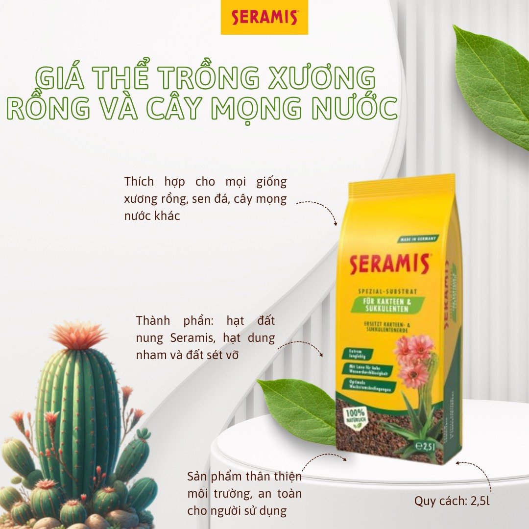 Sỏi thiên nhiên (Seramis)