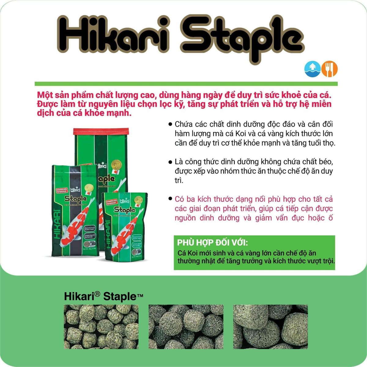 Thức ăn Hikari Fujibuna (10kg)