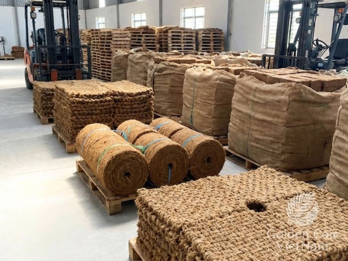 Kỹ thuật Cây chịu hạn